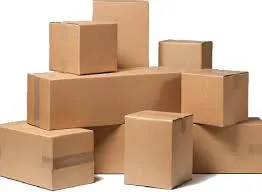 Envió Standar entregas el mismo día corte 8 am